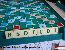 Ampliar imagen img/pictures/151. Club de Scrabble Lagos del Sur/P1030900 (Small).jpg
